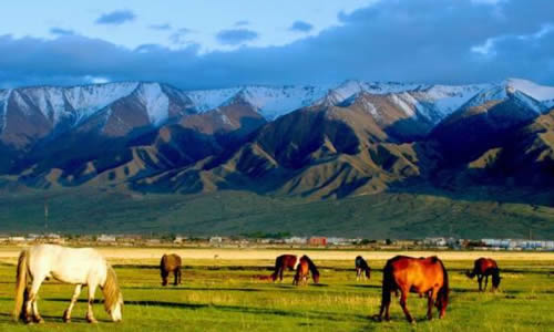 1482896827923609.jpg 18.jpg