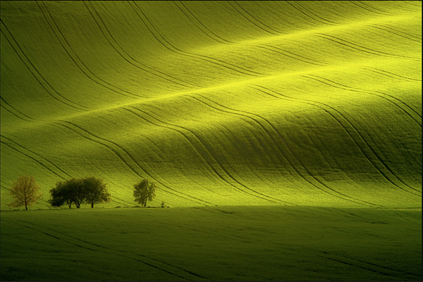 1483069959224714.jpg 55.pic_hd.jpg