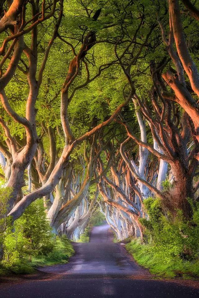 1483516415995371.jpg 0.jpg