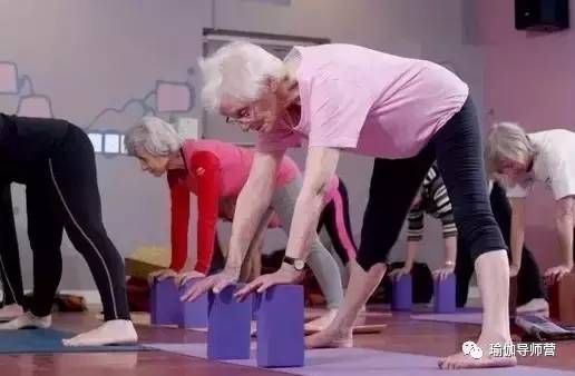 1483670568490572.jpg 5.jpg