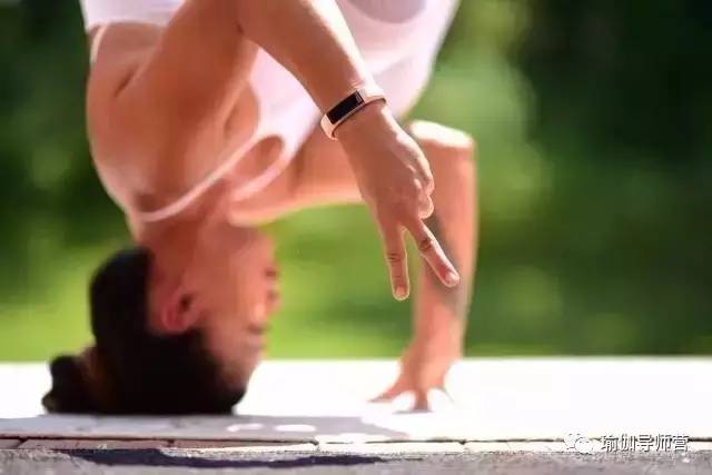 1483670593155642.jpg 6.jpg