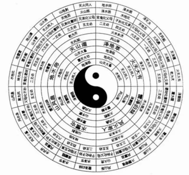 1486969576551852.jpg 6.jpg