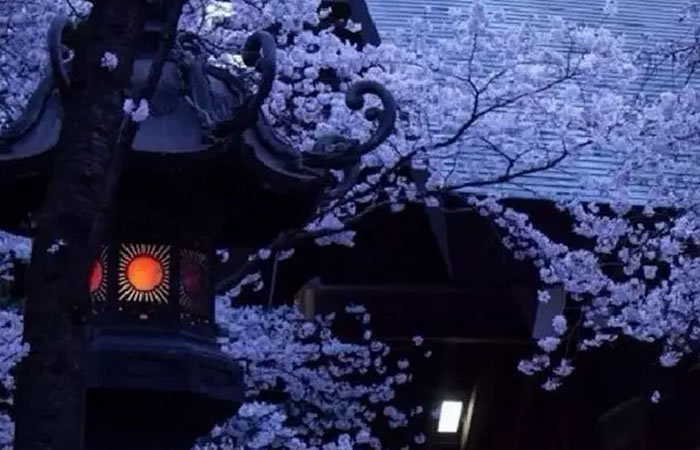 1487035492397551.jpg 12.jpg