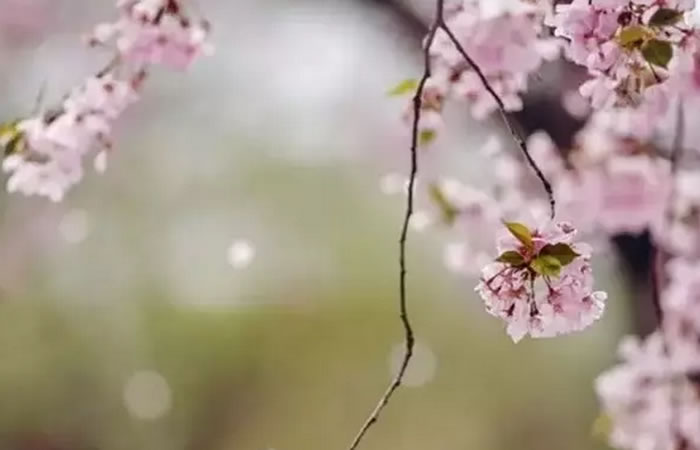 1487035722734236.jpg 12.jpg