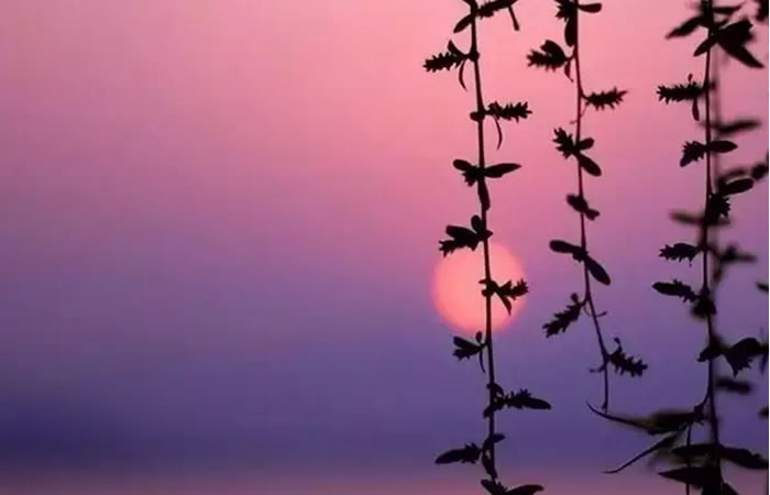 1487036037125644.jpg 12.jpg