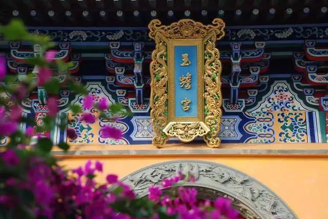 1487207489711741.jpg 14.jpg