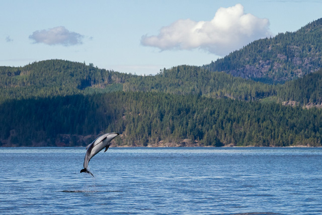 1487215072900445.jpg 53a9a0a5dcdd967e.jpg