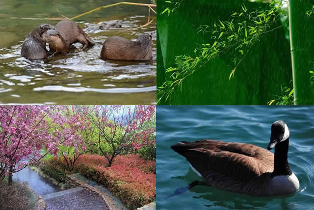 1487383746181840.jpg 12.jpg