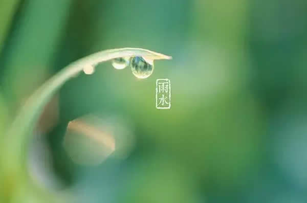 1487383839608430.jpg 18.jpg