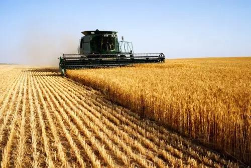 1487567560285273.jpg 3.jpg