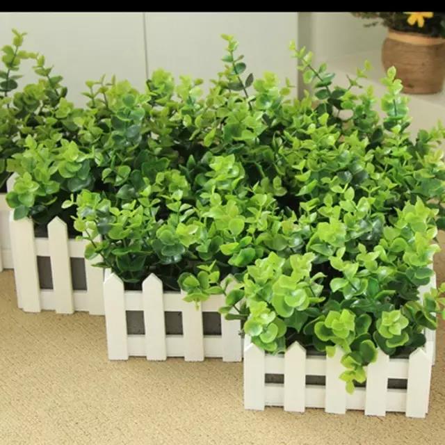 1487640919667724.jpg 2.jpg