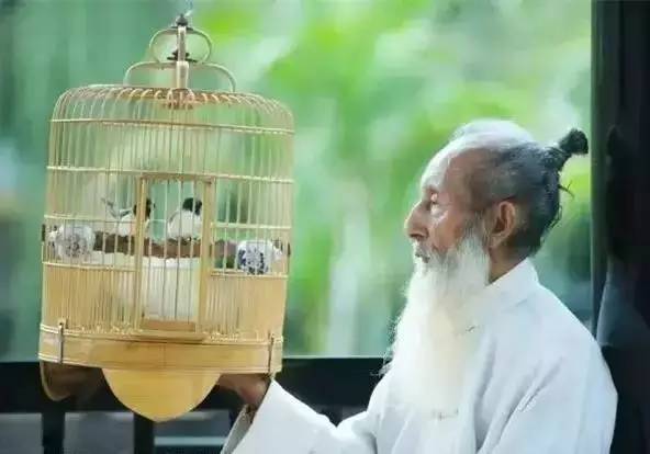 1487815348384234.jpg 1.jpg