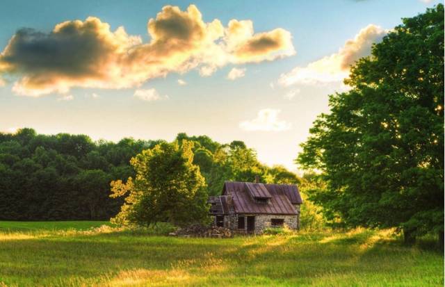 1487820515939225.jpg 26.jpg