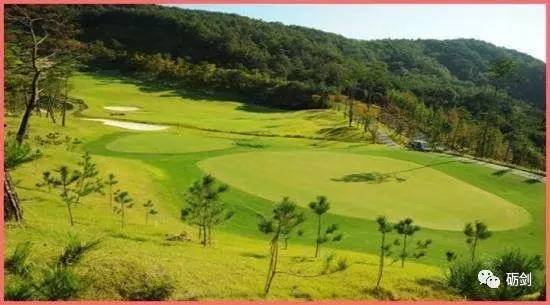 1488420447326765.jpg 2.jpg