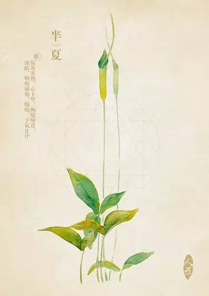 1491539178407716.jpg 14.jpg