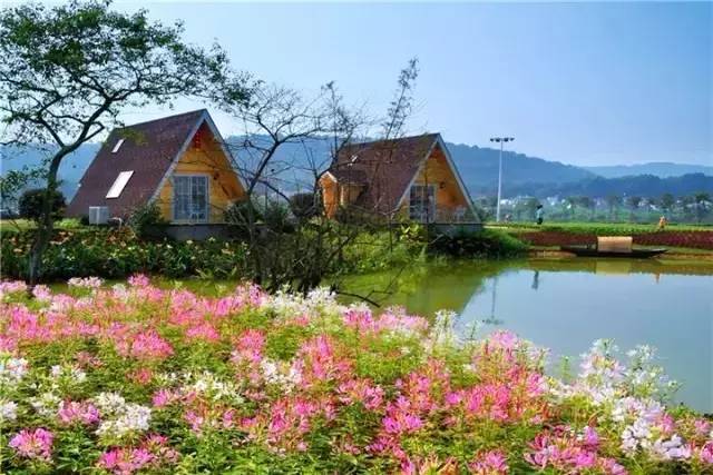 1493595393642010.jpg 3.jpg