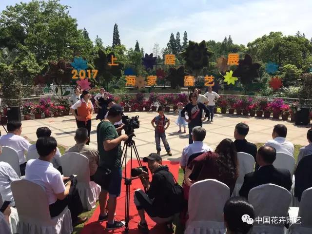 1495074466338065.jpg 2.jpg