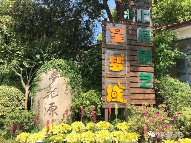 1495074507844561.jpg 3.jpg