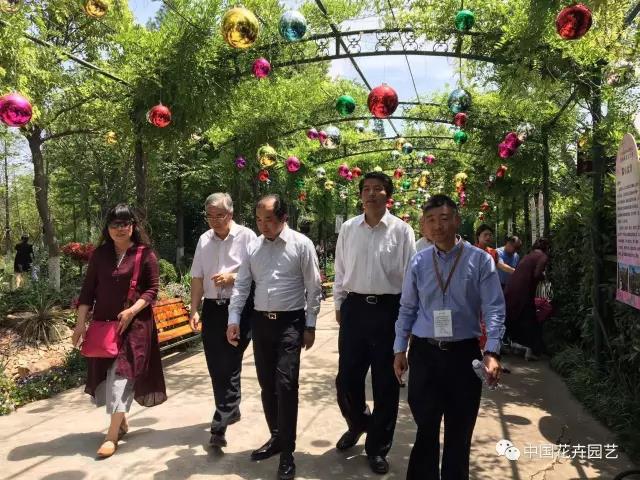 1495074519524248.jpg 4.jpg