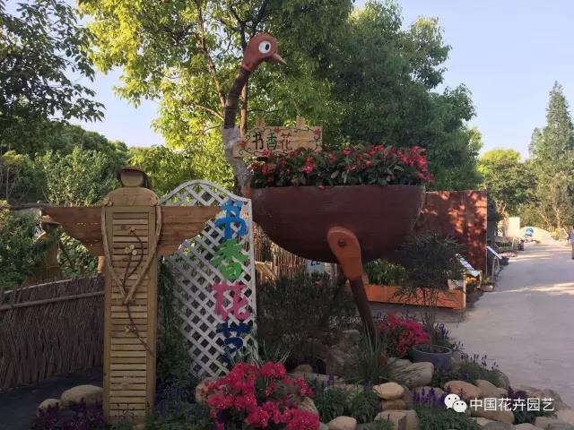 1495074580278838.jpg 5.jpg