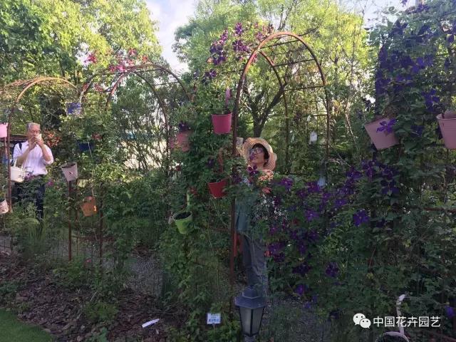 1495074609165386.jpg 6.jpg