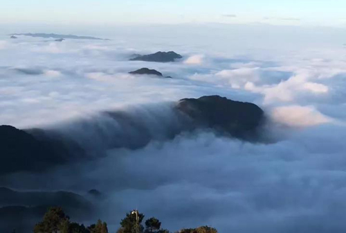 1509952255641551.jpg 8.jpg