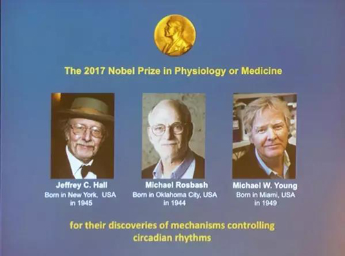 1512265957457135.jpg 7-1.jpg