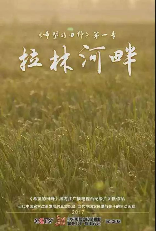 1518073042834444.jpg 8.jpg