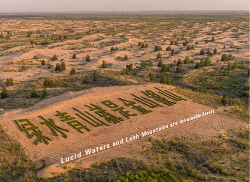 1522303112269454.jpg 25.jpg