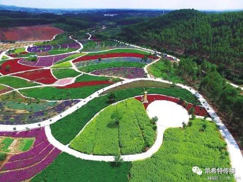 1523788455577133.jpg 32.jpg