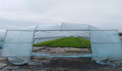 1526867691215231.jpg 36.jpg